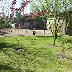 Maja Alojamento de Turismo Rural