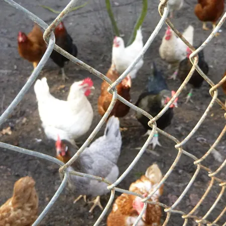 Maja Κατάλυμα σε φάρμα