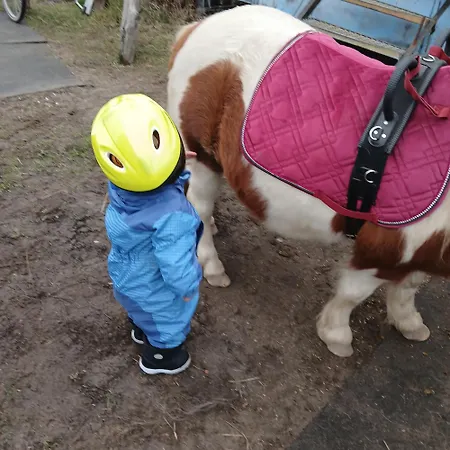 Κατάλυμα σε φάρμα Maja