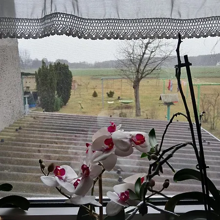 Maja ファームステイ