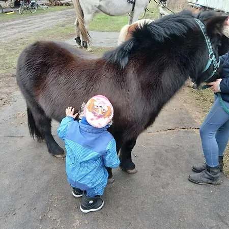 Vakantieboerderij Maja *