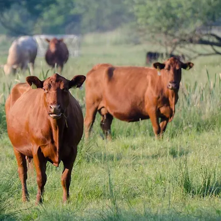 Κατάλυμα σε φάρμα Maja