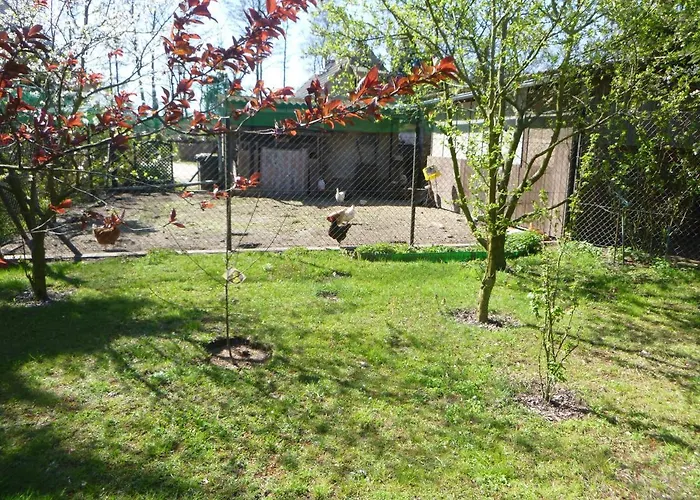 Maja Vakantieboerderij