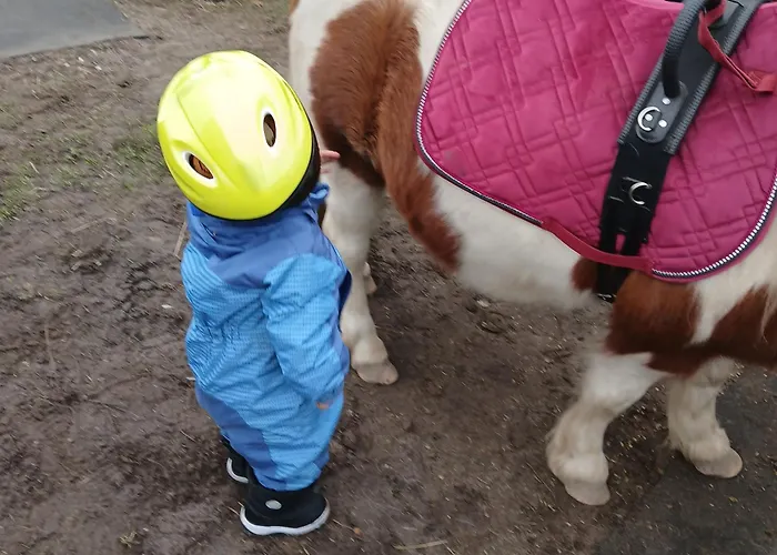 Vakantieboerderij Maja