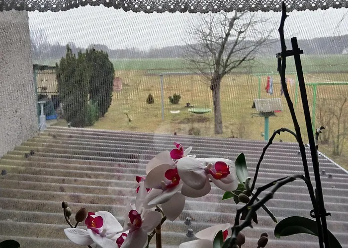 Maja בית חווה