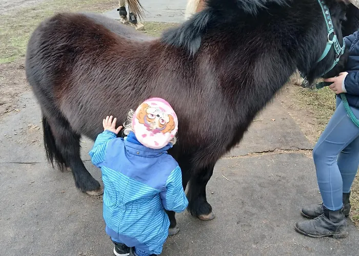 בית חווה Maja *